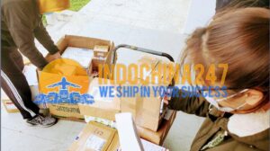 Chuyển phát nhanh và mua hộ trên các sàn thương mại điện tử lớn của Mỹ