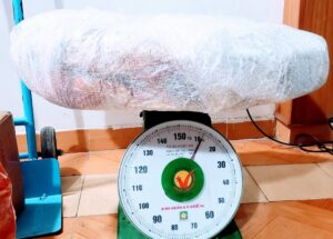 4aaa57c4aecb62953bda