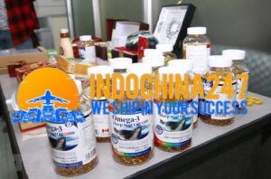 Vận tải đường biển đi Nagoya Tokyo và Yokohama Nhật Bảnu