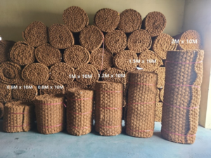 Dịch vụ chuyển phát nhanh quốc tế đi Ấn Độ giá rẻ