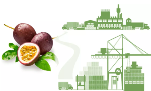 Dịch vụ chuyển phát nhanh từ Hồ Chí Minh đi Wisconsin (Mỹ)