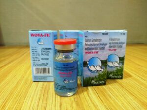 Vận chuyển thông quan hóc môn Wova cho cá từ Ấn Độ. 