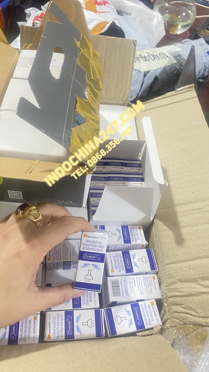 Nhập khẩu phân phối diệt khuẩn ba tác dụng Timsen X Liq từ Ấn Độ