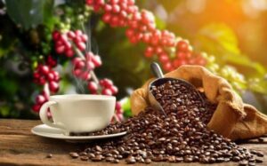 Chia sẻ kinh nghiệm xuất khẩu rau quả sang thị trường Trung Quốc Chia sẻ kinh nghiệm xuất khẩu rau quả sang thị trường Trung Quốc