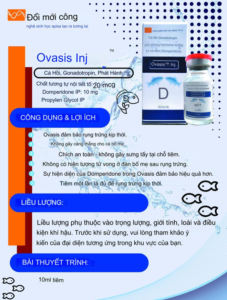 Nhập khẩu phân phối Hóc môn Ovasis Cá tôm từ Ấn Độ