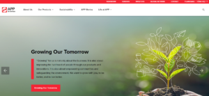 Vận chuyển nhập khẩu bột giấy từ Indonesia và Brasil