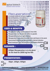 Dịch vụ vận chuyển thuốc thú y Ấn Độ về Việt Nam giá rẻ