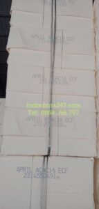 Vận chuyển nhập khẩu bột giấy từ Indonesia và Brasil