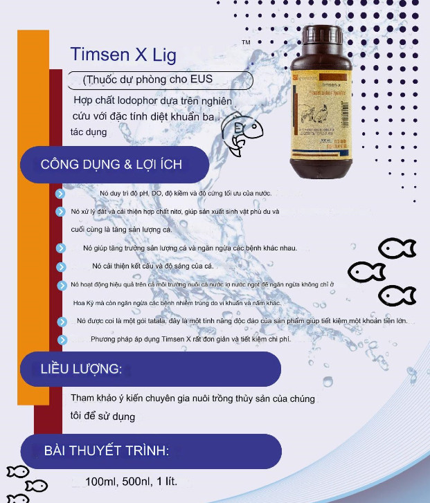 Nhập khẩu phân phối hợp chất diệt khuẩn ba tác dụng Timsen X Liq từ Ấn Độ