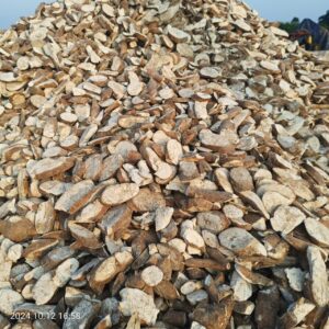 Vận chuyển thông quan hàng Sắn lát từ Lào về Việt Nam Vận chuyển thông quan hàng Sắn lát từ Lào về Việt Nam